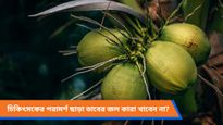 গরম থেকে বাঁচতে দেদার খাচ্ছেন ডাবের জল? ডেকে আনছেন না তো বড় বিপদ!