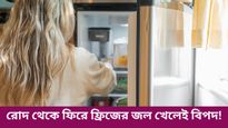 বাড়ি ফিরে আগেই ফ্রিজের জল খাচ্ছেন, এই অভ্যাস কতটা ক্ষতিকর জানেন কি?