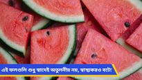 হাসফাঁসানি গরমে সুস্থ ও হাইড্রেট থাকতে খান গ্রীষ্মকালীন এই ফলগুলি!