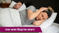 ঘুমের ঘোরে নাক ডেকে ফেলছেন? বন্ধ করতে মেনে চলুন এই ঘরোয়া টিপসগুলি