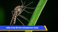 বর্ষাকালে বাড়ে মশার উপদ্রব, জানুন কীভাবে ঘরোয়া উপায়েই এই সমস্যা রুখবেন
