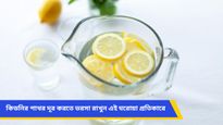 কিডনিতে পাথর জমেছে? হোমিওপ্যাথি ওষুধ নয়, খান ঘরোয়া এই স্বাস্থ্যকর পানীয়গুলি