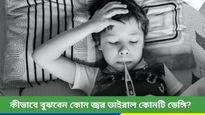 বৃষ্টির পরই দিল্লিতে ডেঙ্গির ঝুঁকি বাড়ে, জেনে নিন ডেঙ্গির উপসর্গ ও চিকিৎসা