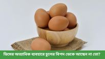 প্রত্যেক সপ্তাহে চুলের সৌন্দর্য বাড়াতে ডিম ব্যবহার করছেন, জানেন এর পার্শ্বপ্রতিক্রিয়া সম্পর্কে?