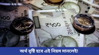 আপনি কি অর্থ-সংকটে ভুগছেন, জমানো টাকাও গায়েব হচ্ছে? শাস্ত্রের এই নিয়ম মেনে চলুন!