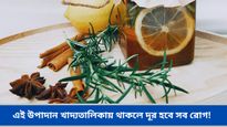 বর্ষায় বারবার অসুস্থ হওয়া রুখবে এই আয়ুর্বেদিক উপাদান, কাজ করে ম্যাজিকের মত! জেনে নিন বিস্তারিত