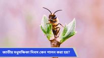 জাতীয় মধুমক্ষিকা দিবস কবে জানেন? জেনে নিন এই দিনের মাহাত্ম্য