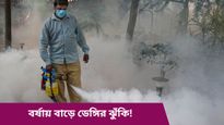 বর্ষাকালে দাপিয়ে বেড়ায় ডেঙ্গি, ঝুঁকি কমাতে কী কী সতর্কতামূলক ব্যবস্থা নেবেন, জানুন