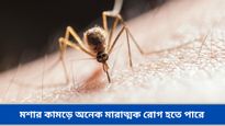 বর্ষায় বাড়ে মশার দাপট! তবে শুধু ডেঙ্গি, ম্যালেরিয়াই নয়, হতে পারে আরও অনেক মারাত্মক রোগ