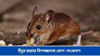 বর্ষায় ইঁদুরের উৎপাতে নাজেহাল? বাড়ির জিনিসপত্র সহ আমাদের স্বাস্থ্য ঝুঁকিও কিন্তু বাড়ায়, সাবধান