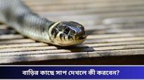 বর্ষাকালে বাড়ে সাপের উৎপাত, সঙ্গে কামড়ের ঝুঁকিও, চিৎকার না করে এই টিপসগুলি অনুসরণ করুন