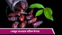 সকালে খালি পেটে খেজুর ভেজা নাকি শুকনো খাবেন? কোনটি সবচেয়ে বেশি উপকারী জানুন