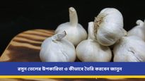 চুল ঝরা থেকে দাঁতের ব্যাথা, বহু রোগের অব্যর্থ ওষুধ, এক ফোঁটা রসুনের তেলেই হবে অসাধ্য সাধন!