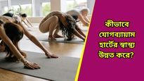 বাড়ছে হার্ট অ্যাটাকের ঝুঁকি, সুস্থ থকতে আজ থেকেই করুন এই যোগাসনগুলি, উপকার মিলবে হাতেনাতে