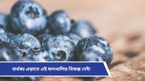 Anti aging hacks: অল্প বয়সেই বুড়িয়ে যাচ্ছেন? যৌবন ধরে রাখতে আজ থেকেই ডায়েটে রাখুন এই ফলগুলি