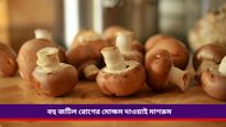 National Mushroom Day 2024: শুধু সুখাদ্যই নয়, সুস্বাস্থ্যও নিশ্চিত করে, জানুন মাশরুম দিবসের গুরুত্ব