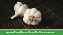 Natural antibiotics: ওষুধ নয়, রোগ প্রতিষেধক হিসেবে কাজ করবে এই প্রাকৃতিক অ্যান্টিবায়োটিকগুলিই