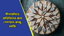 Diwali Recipe: দীপাবলিতে মিষ্টিমুখ করুন নিজের হাতের বানানো কাজু বরফি দিয়ে, জেনে নিন রেসিপি