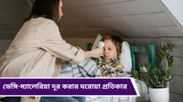 Dengue Home Remedies: চোখ রাঙাচ্ছে ডেঙ্গি-ম্যালেরিয়া, ঘরোয়া টোটকায় পাবেন স্বস্তি, দেখুন এক ঝলকে