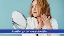 Hair care: শীতে রুক্ষ-শুষ্ক, প্রাণহীন চুলের সমস্যা? নিয়ম মেনে রোজ লাগান তেল