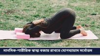 Year Ender 2024: চলতি বছরের ট্রেন্ডিং যোগব্যায়াম কোনগুলি জানেন? রইল তালিকা