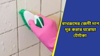 Cleaning tips: বাথরুমের জেদী দাগ নিয়ে চিন্তিত? বিনা খরচেই হবে দাগ উধাও! কীভাবে জানুন
