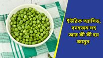 Side effects of peas: শীতে চুটিয়ে খাচ্ছেন মটরশুঁটি? বিষের চেয়ে কম নয় এই সবজি!