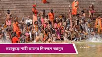 Mahakumbh 2025: মহাকুম্ভে এ বছর পুণ্যস্নানের শুভ দিন কোনগুলি? জানুন শাহী স্নানের নিয়ম
