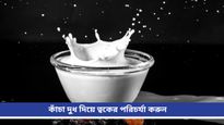 Winter Skin Care: দামি প্রসাধনী নয়, ত্বকের জেল্লা ফেরাবে কাঁচা দুধ! এইভাবে ব্যবহার করুন