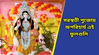 Saraswati Puja 2025: বাগদেবীর আরাধনা এইসব ফুল ছাড়া অসম্পূর্ণ! কোন ফুল জানেন?