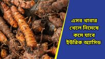 Uric acid: তরতরিয়ে বাড়ছে ইউরিক অ্যাসিড? রুখতে দৈনিক ডায়েটে রাখুন এই খাবারগুলি