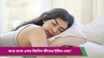 Swapna Shastra: এসব জিনিস স্বপ্নে দেখলেই বুঝবেন খারাপ সময় শুরু! থাকতে হবে অতিরিক্ত সতর্ক