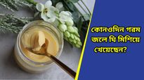 Ghee With Water: রোজ গরম জলে ঘি মিশিয়ে পান করুন, উপকারিতা জানলে চমকে উঠবেন