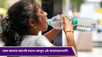 Summer health tips: গ্রীষ্মের দিনে সকাল থেকে রাত, কেমন হবে ডায়েট চার্ট? জানুন বিস্তারিত