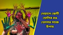 Holi 2025: হোলিতে দেয়ালে একগুঁয়ে রঙ দূর করা নিয়ে চিন্তা? ভরসা রাখুন এই ঘরোয়া উপায়ে, বাপবাপ বলে উঠবে