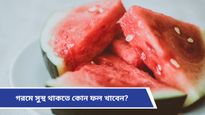 Summer Fruits: বাড়ন্ত গরমে শরীরে জলের ঘাটতি মেটাতে অবশ্যই পাতে রাখুন এই ফলগুলি!