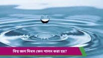 World Water Day 2025: কবে পালিত হয় বিশ্ব জল দিবস? জানেন এর ইতিহাস?