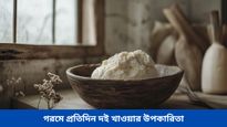 Benefits of curd in summer: গরমে পেট ঠাণ্ডা রাখতে শেষ পাতে রাখুন দই, রয়েছে হাজার উপকারিতা