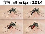 विश्‍व मलेरिया दिवस: मलेरिया के लक्षण