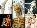 मानव कंकाल से जुडे़ 8 चौका देने वाले तथ्‍य 