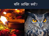 दीपावली..क्यों दी जाती है उल्लुओं की बलि, इस अंधविश्वास के पीछे है ये मान्यता