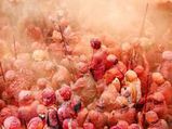 Lathmar Holi: बरसाना में क्‍यों मनाई जाती है लट्ठमार होली, जानते है क्‍यों प्रसिद्ध है यहां की होली