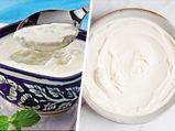 Yogurt VS Curd: जानिए इन दोनों में क्या होता है अंतर और आपके लिए कौन सा है सही