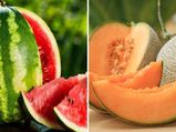 तरबूज या खरबूज दोनों में से कौनसा फल है ज्‍यादा बेहतर, जानें इनके न्‍यूट्रिशियन वेल्‍यू और फायदे