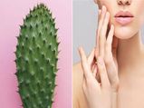 स्किन की सभी समस्याओं को दूर करने के लिए यूं करें कैक्टस का इस्तेमाल