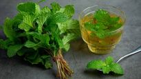 Peppermint Tea Side Effects: पुदीने की चाय पीने से सेहत पर पड़ सकता है गलत प्रभाव, जानिए इसके साइड इफेक्ट्स