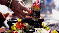 Mahashivratri 2023: आपके चढ़ाए पुष्प मात्र से प्रसन्न हो जाएंगे भोलेबाबा, देखें उनके पसंदीदा फूलों की लिस्ट