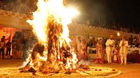 Holika Dahan 2023: होलिका दहन में इन पेड़ों की लकड़ियां जलाना है वर्जित, भूल से भी शामिल न करें