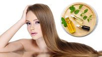 Herbal Hair Oil: पतले बालों से हो गई हैं परेशान! काले, लंबे, घने बाल पाने के लिए बनाएं ये हर्बल हेयर ऑयल