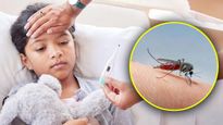 World Malaria Day: मलेरिया और ब्रेन मलेरिया में क्‍या है अंतर, जानें क‍िसे है ज्‍यादा खतरा और बचाव